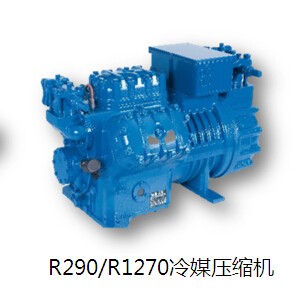 連云港R290/R1270冷媒壓縮機