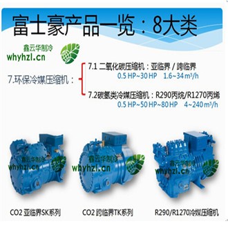 大興環(huán)保冷媒壓縮機